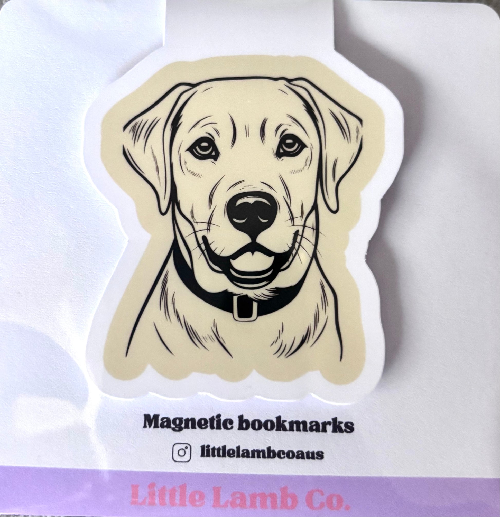 Magnetic bookmarks