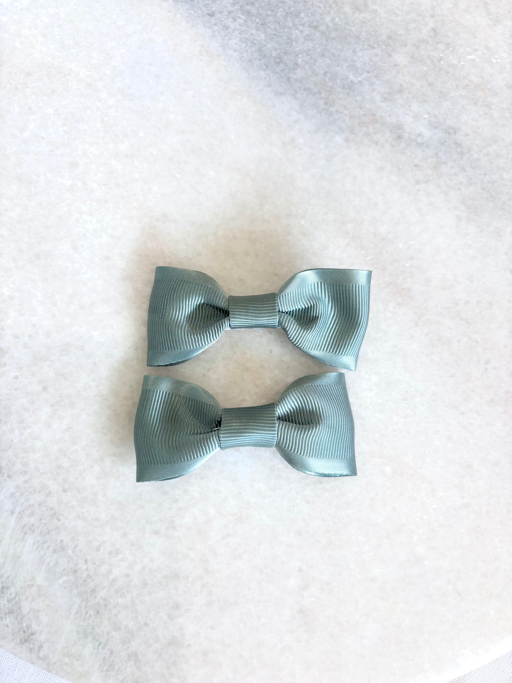 Alligator hair clips