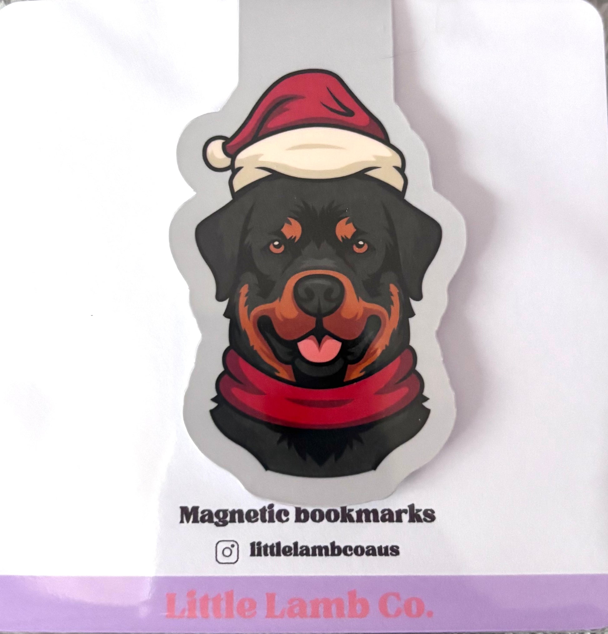 Magnetic bookmarks