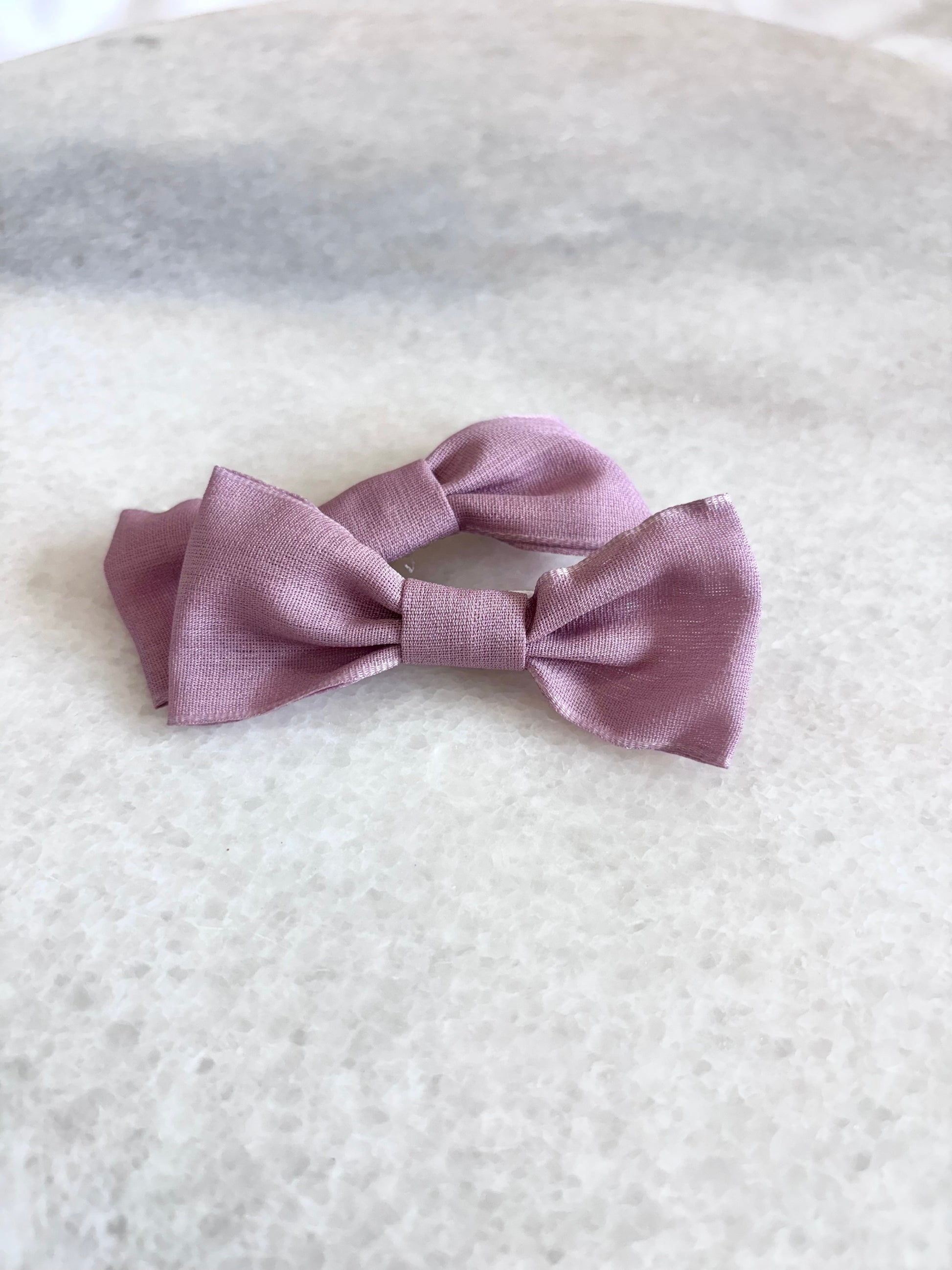 Alligator hair clips