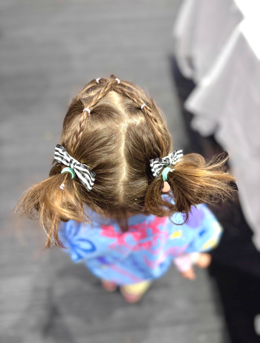 Alligator hair clips