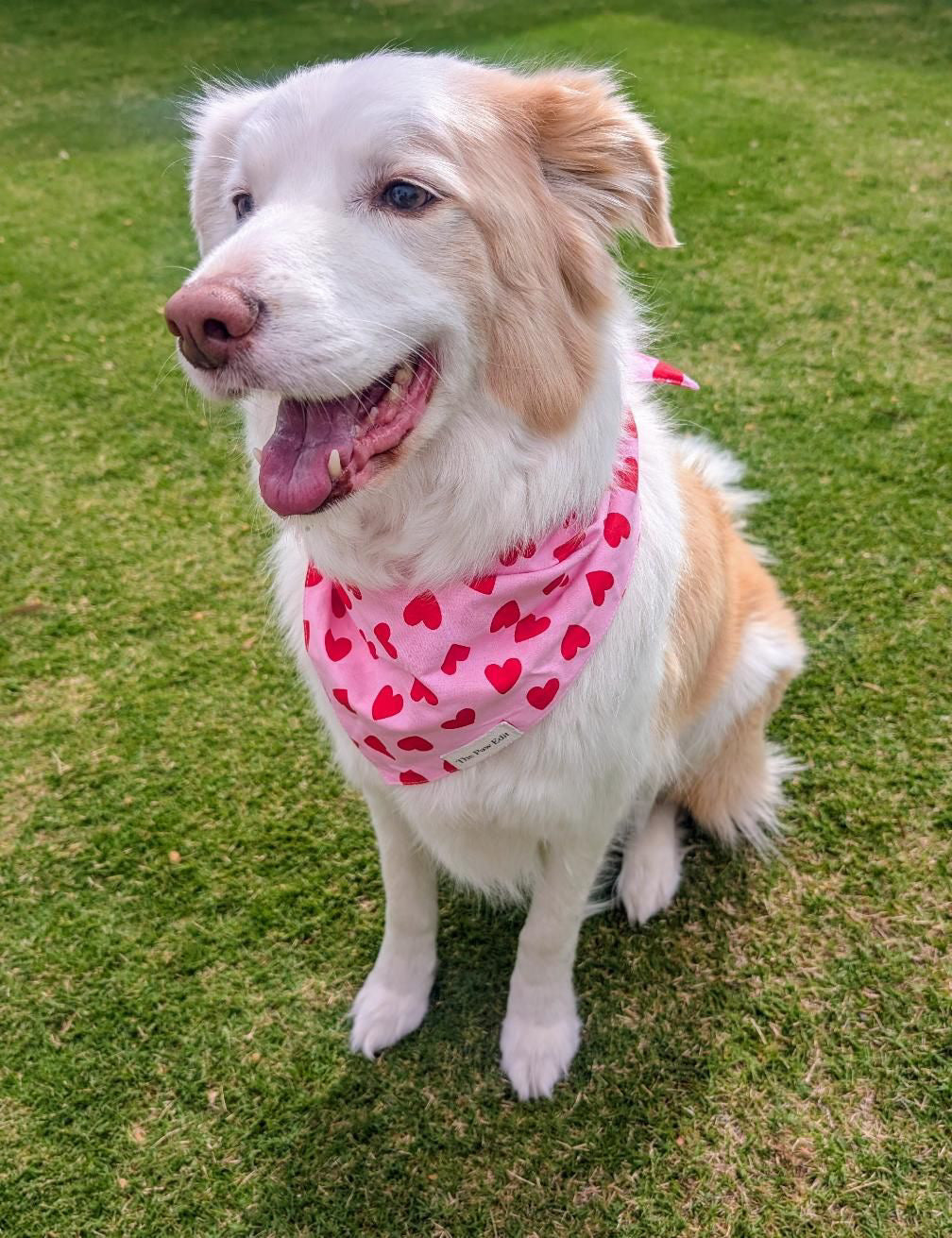 Pet Bandanas
