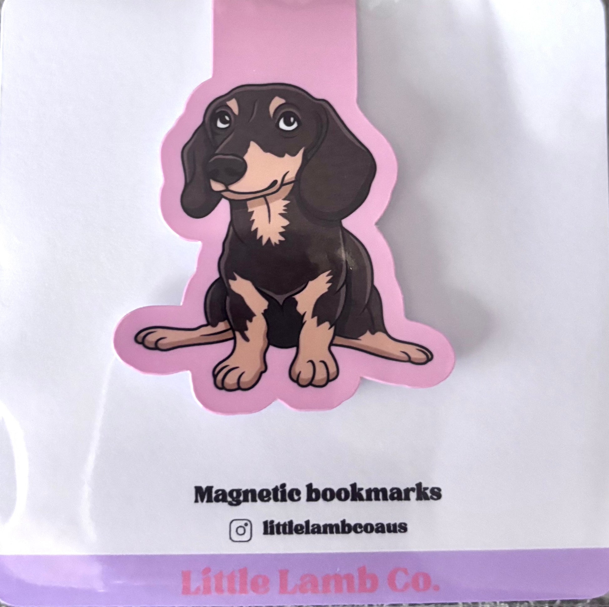 Magnetic bookmarks