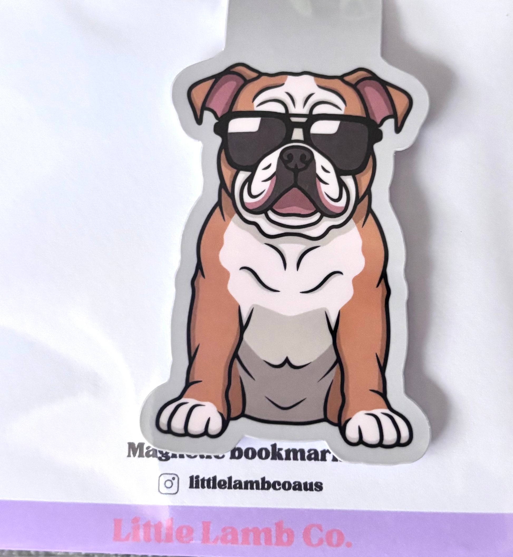 Magnetic bookmarks