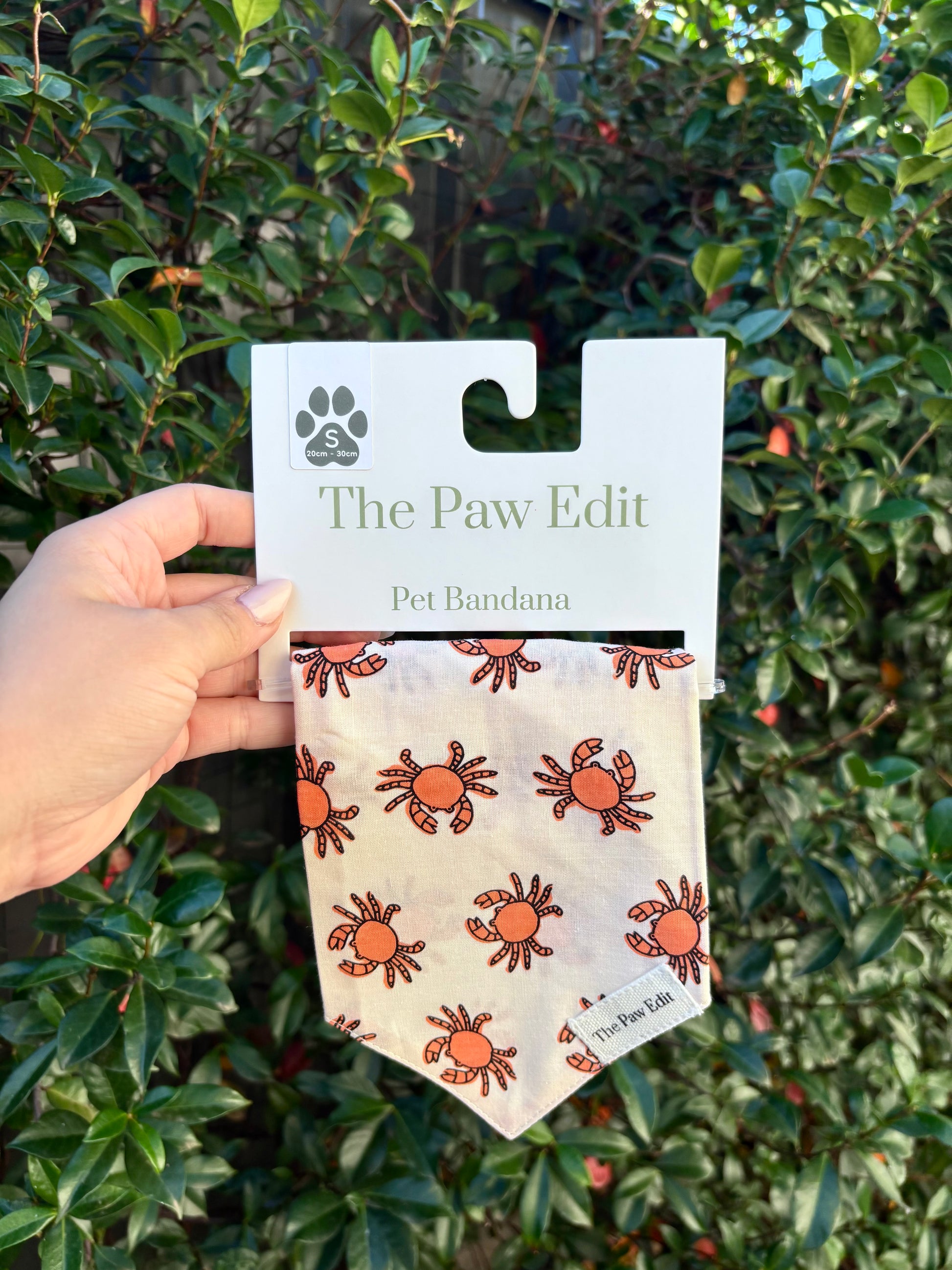 Pet Bandanas