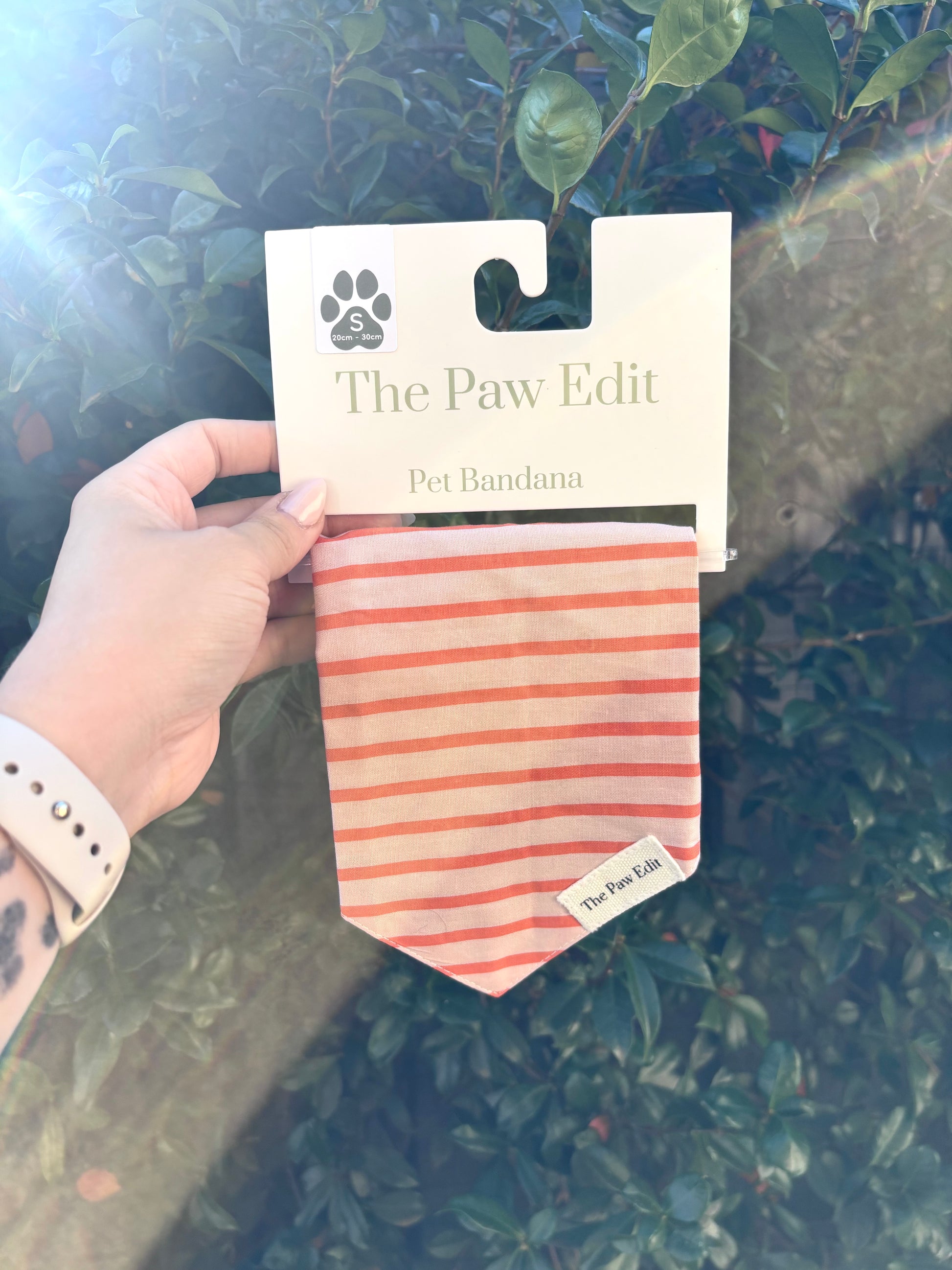 Pet Bandanas