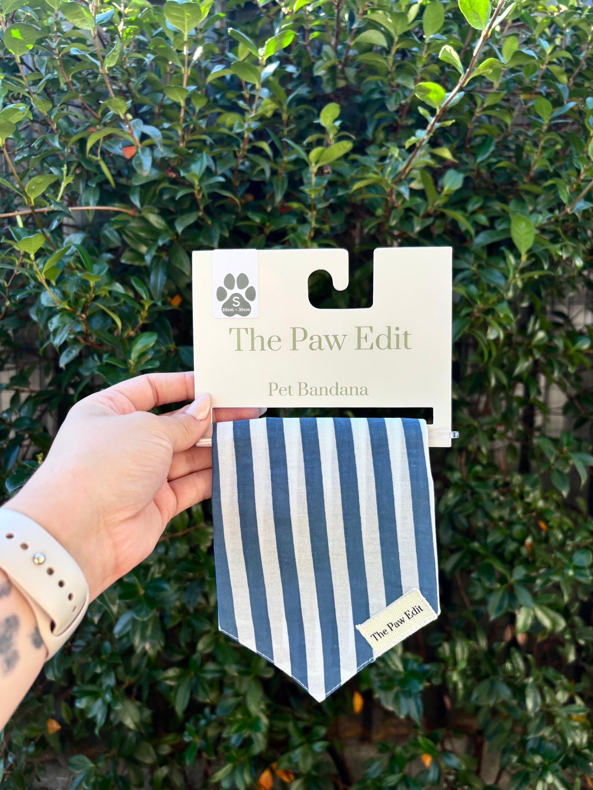 Pet Bandanas