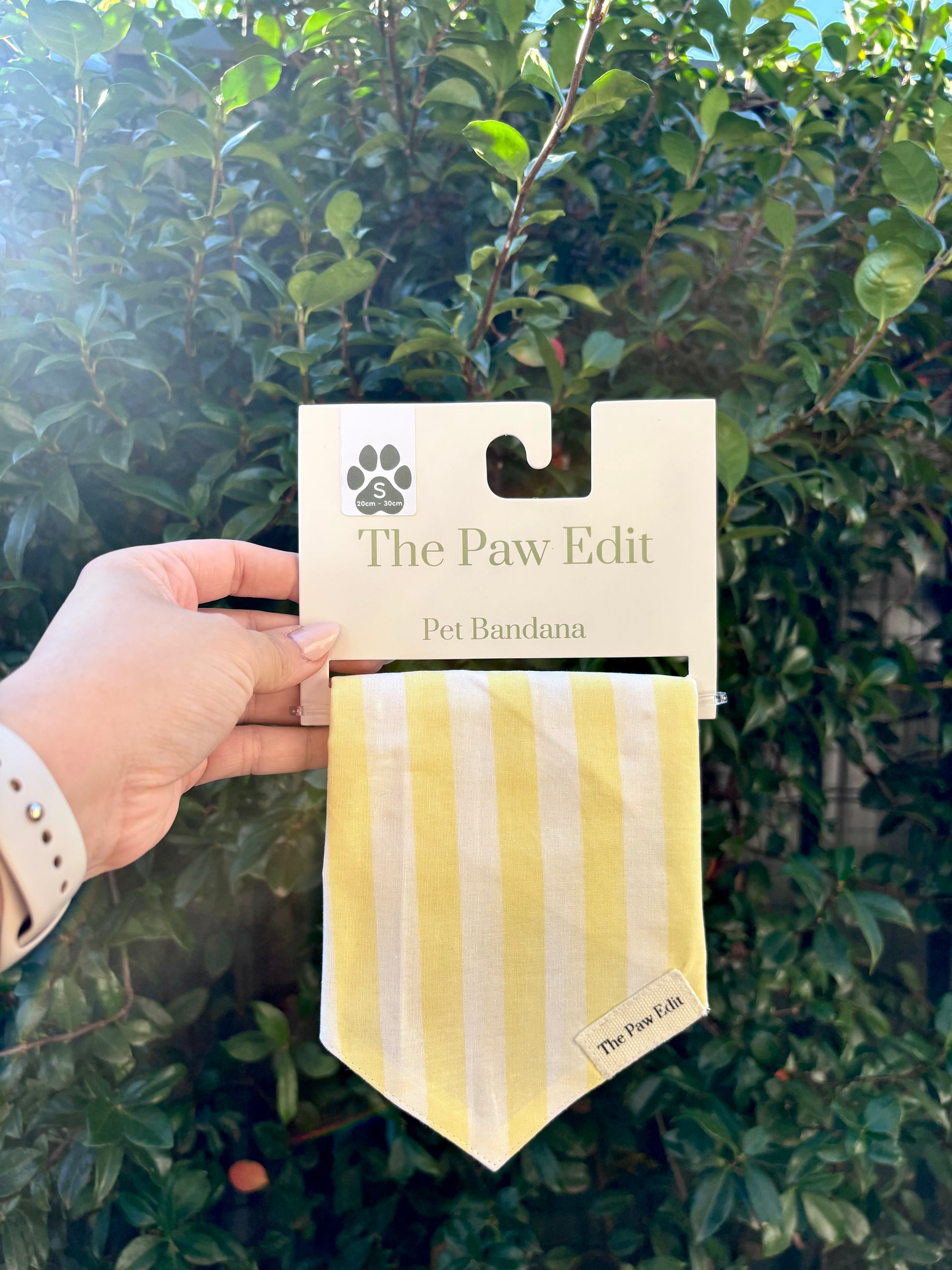 Pet Bandanas