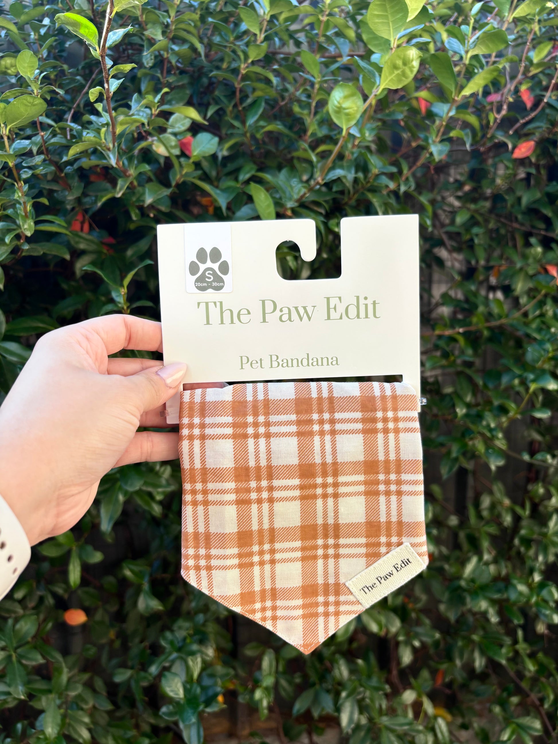 Pet Bandanas