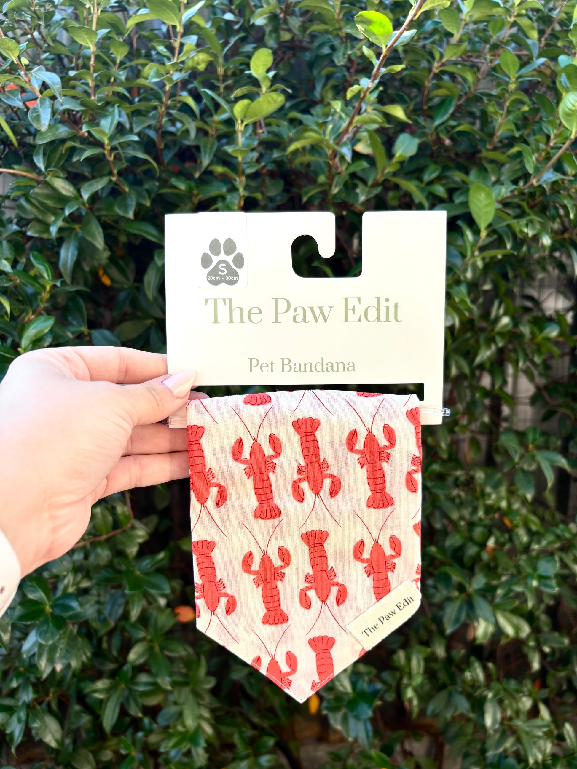 Pet Bandanas